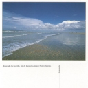 Ensenada La Guardia, Isla de Margarita