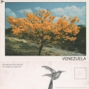 Araguaney, Árbol Nacional