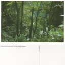 Parque Nacional Henry Pittier