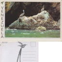 Mochima - Pelícanos