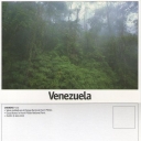 Selva nublada en el Parque Nacional Henri Pittier