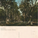 Avenida Bolívar, Maturín