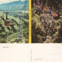 Teleférico de Mérida/Vegetación Exuberante