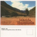 Cultivo de trigo (Mucuchíes)