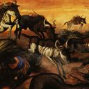 Stampeding Wildebeests