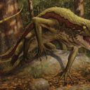 Sylvan Basilisk