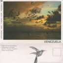 Alcatraces de pesca al atardecer