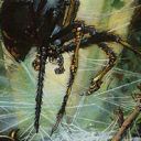 Tangle Spider