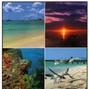 Armonía Natural - Natural Harmony