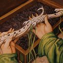 Citanul Flute