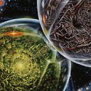 Crucible of Worlds