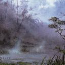 Llanowar Wastes