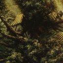 Treetop Village