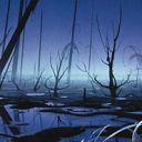 Swamp