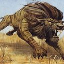 Savannah Lions