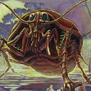 Giant Cockroach