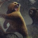 Grizzly Bears