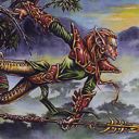 Norwood Ranger