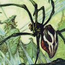 Silklash Spider