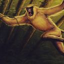 Tree Monkey