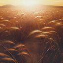 Plains