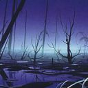 Swamp