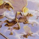 Aven Flock