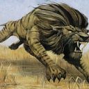 Savannah Lions