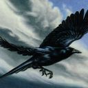 Storm Crow