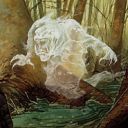 Bog Wraith