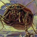 Giant Cockroach