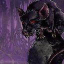 Ravenous Rats