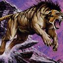 Canyon Wildcat