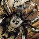 Giant Spider