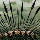 Wall of Spears