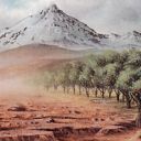 Shivan Oasis