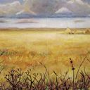 Plains