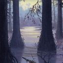 Swamp
