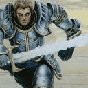 Northern Paladin
