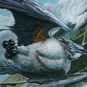 Skyshroud Falcon
