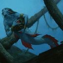 Merfolk Looter