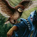 Sage Owl