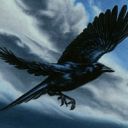 Storm Crow
