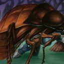 Giant Cockroach