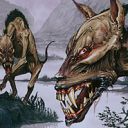 Hollow Dogs