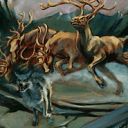 Gang of Elk