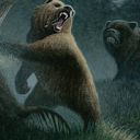 Grizzly Bears
