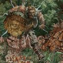 Might of Oaks