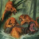 Uktabi Wildcats