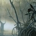 Swamp